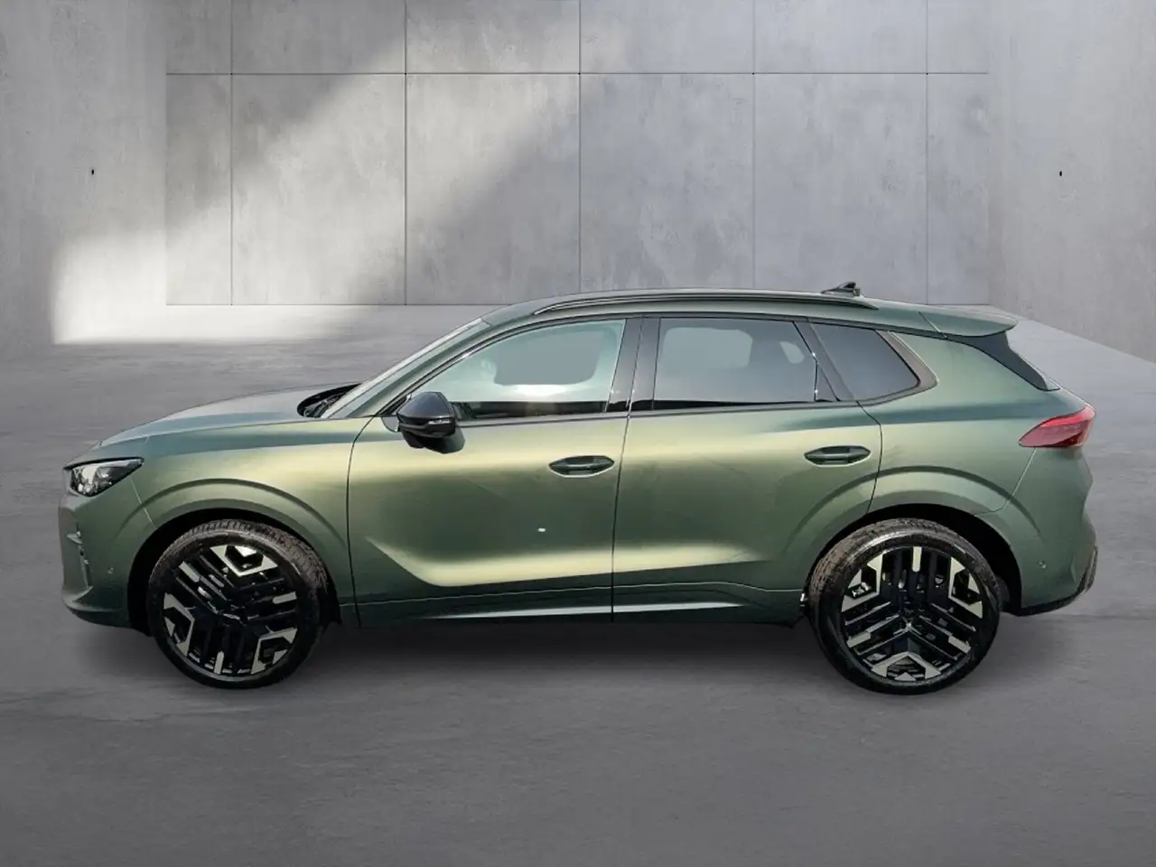 Cupra Terramar 2