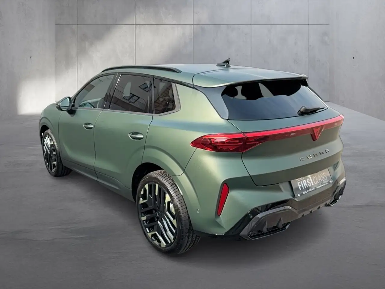 Cupra Terramar 3