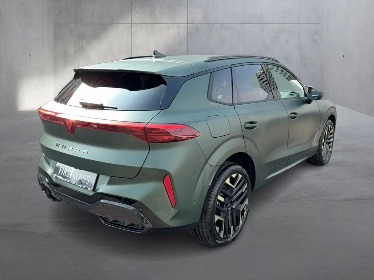 Cupra Terramar 5