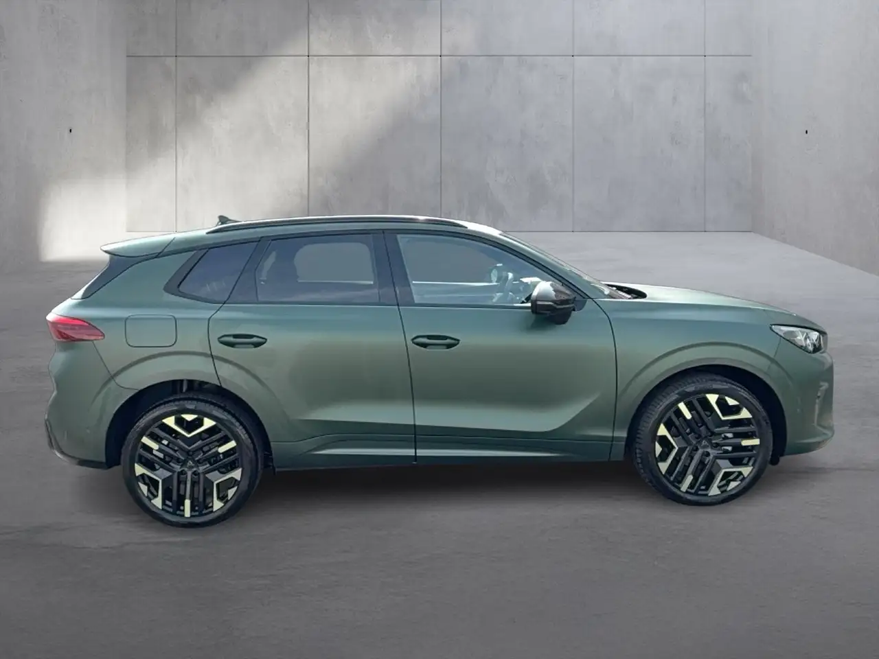 Cupra Terramar 6