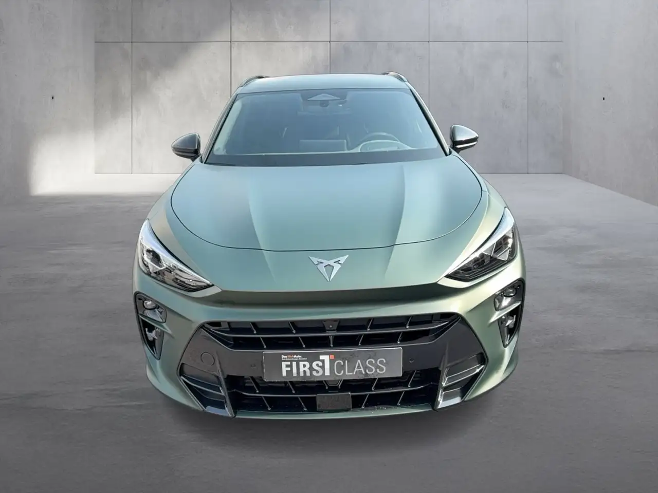 Cupra Terramar 8