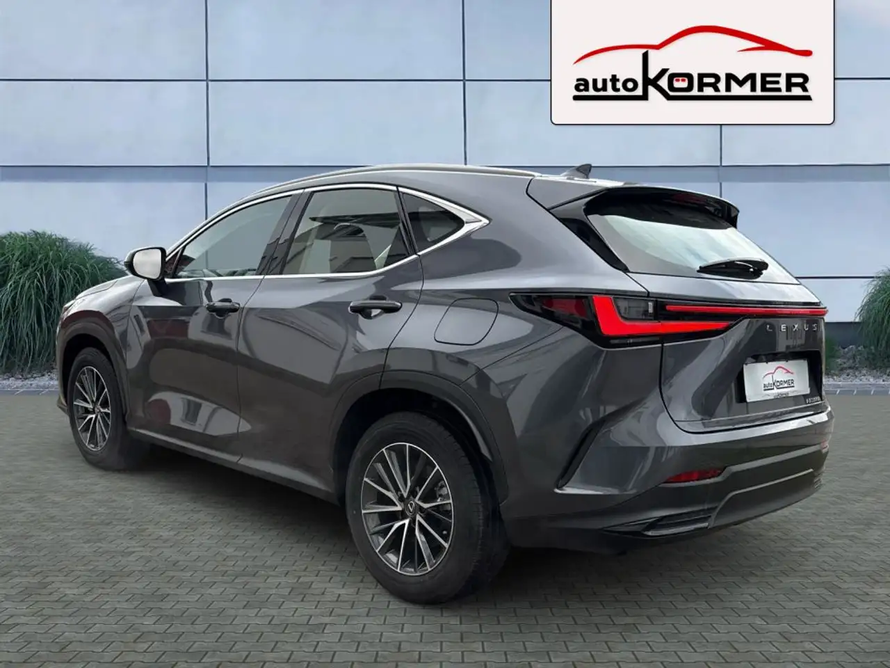 Lexus NX 4