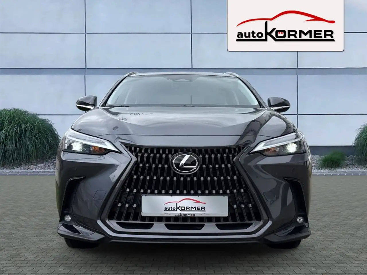 Lexus NX 6
