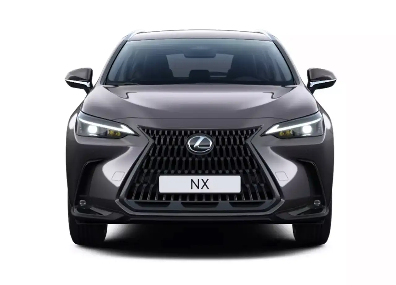 Lexus NX 4