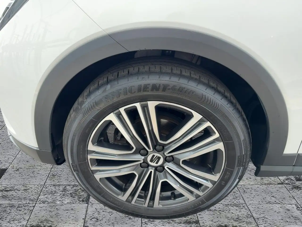 Seat Arona 8