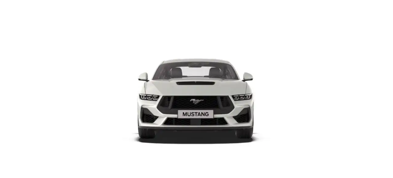 Ford Mustang 13