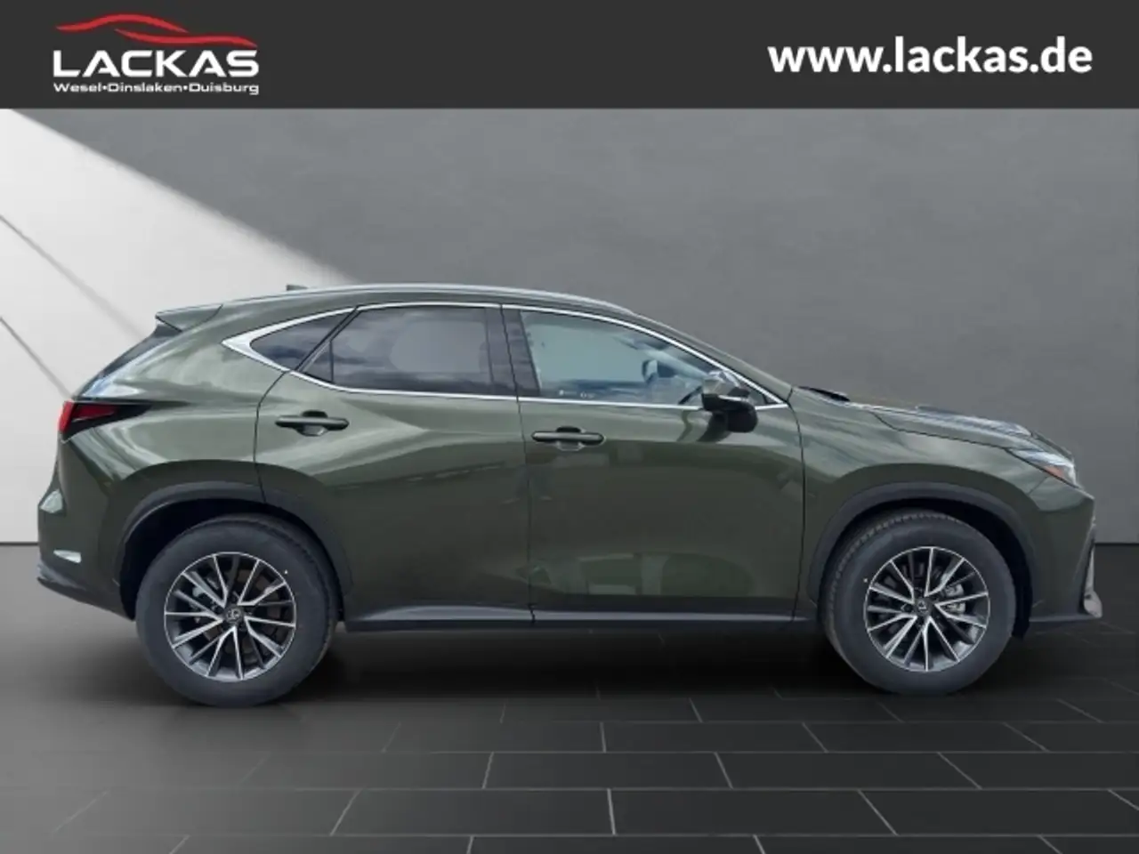 Lexus NX 6