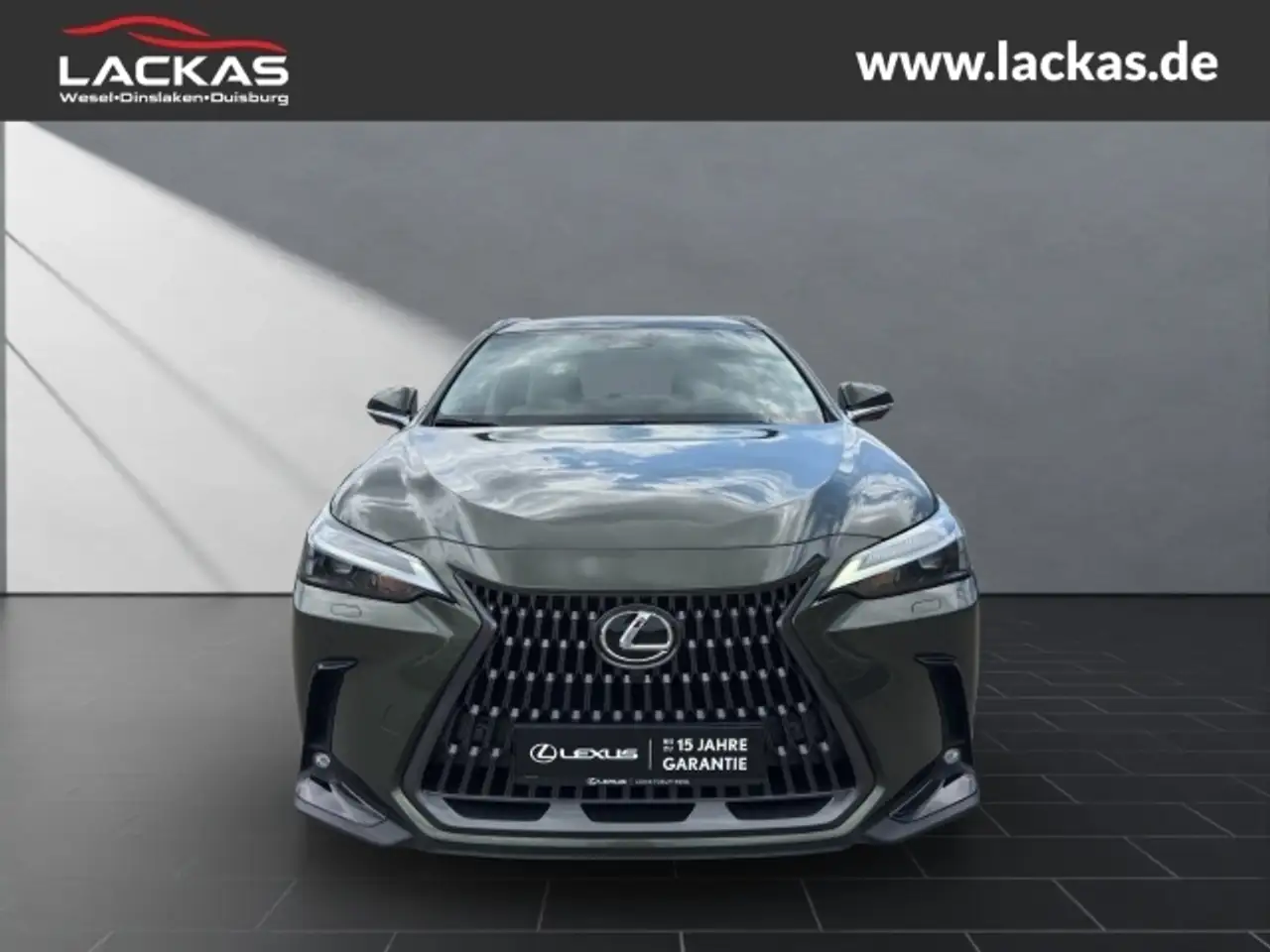 Lexus NX 8