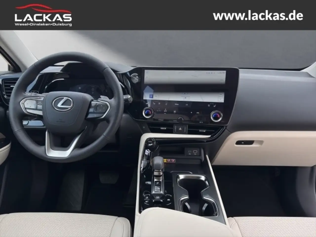 Lexus NX 13