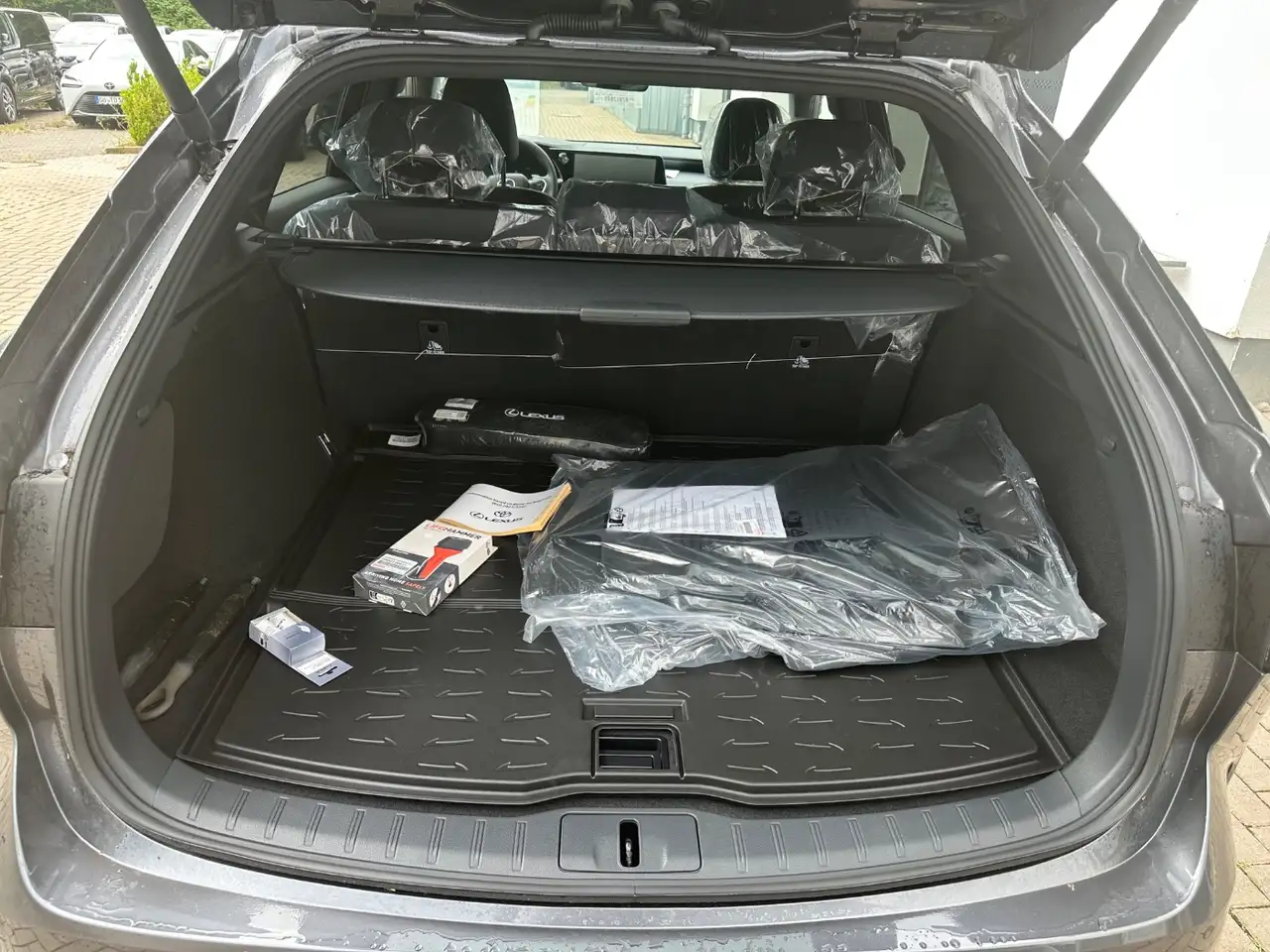 Lexus RX 350 14