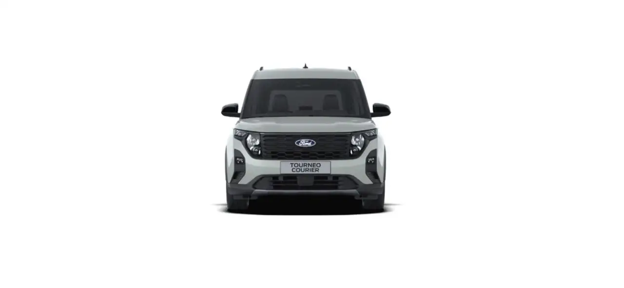Ford Tourneo 12