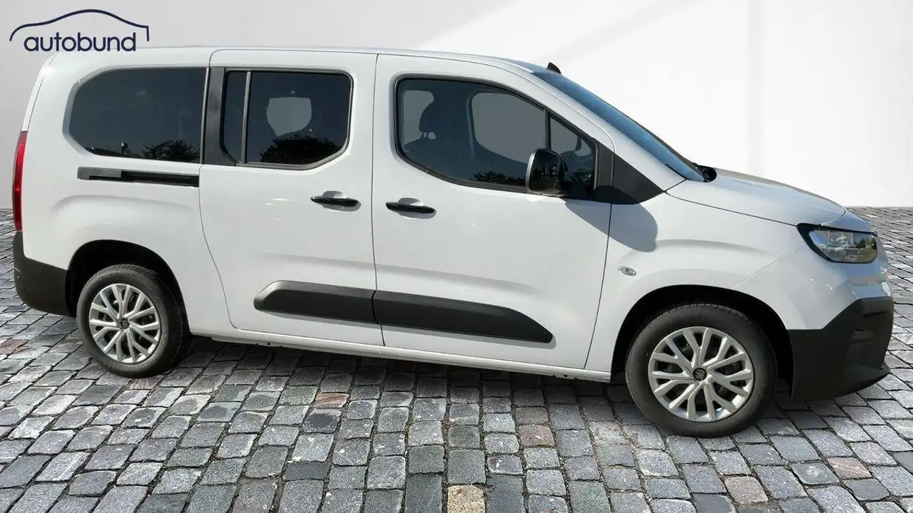 Fiat Doblo III 4