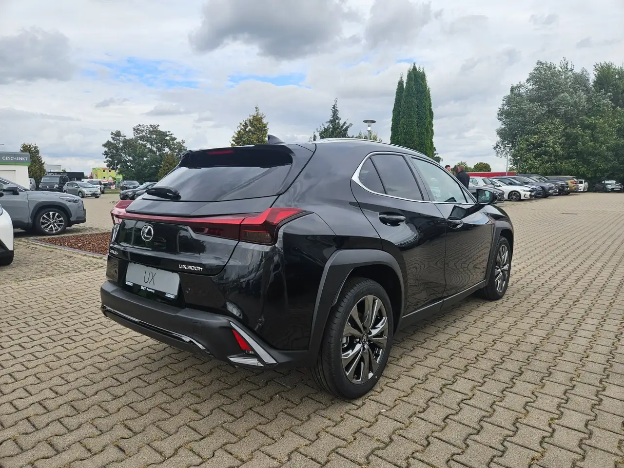 Lexus UX 11