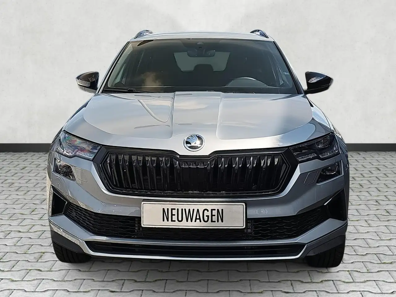 Skoda Karoq 3
