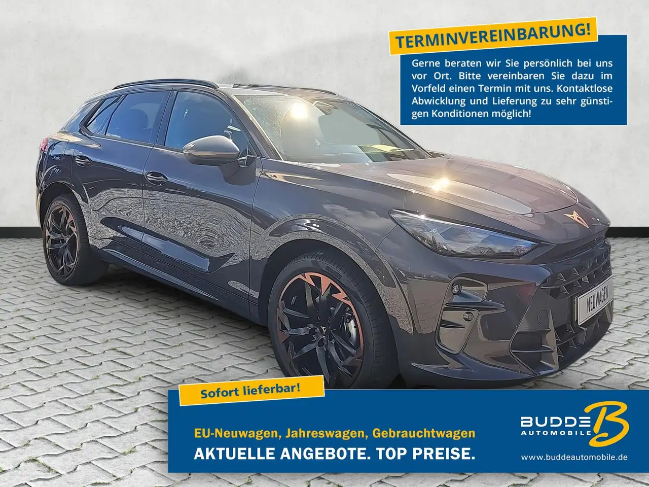 Cupra Terramar