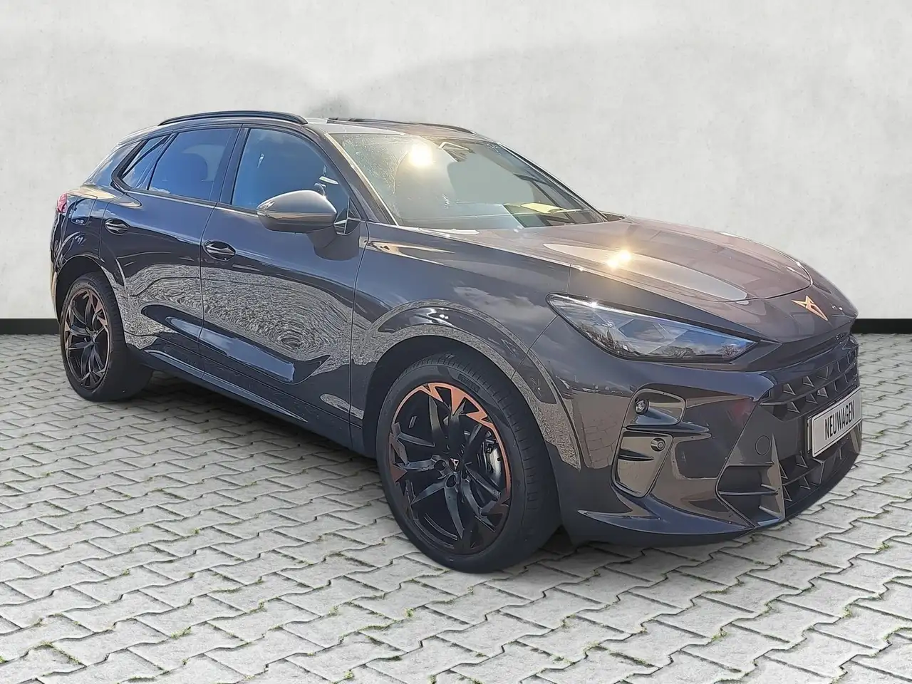 Cupra Terramar 2