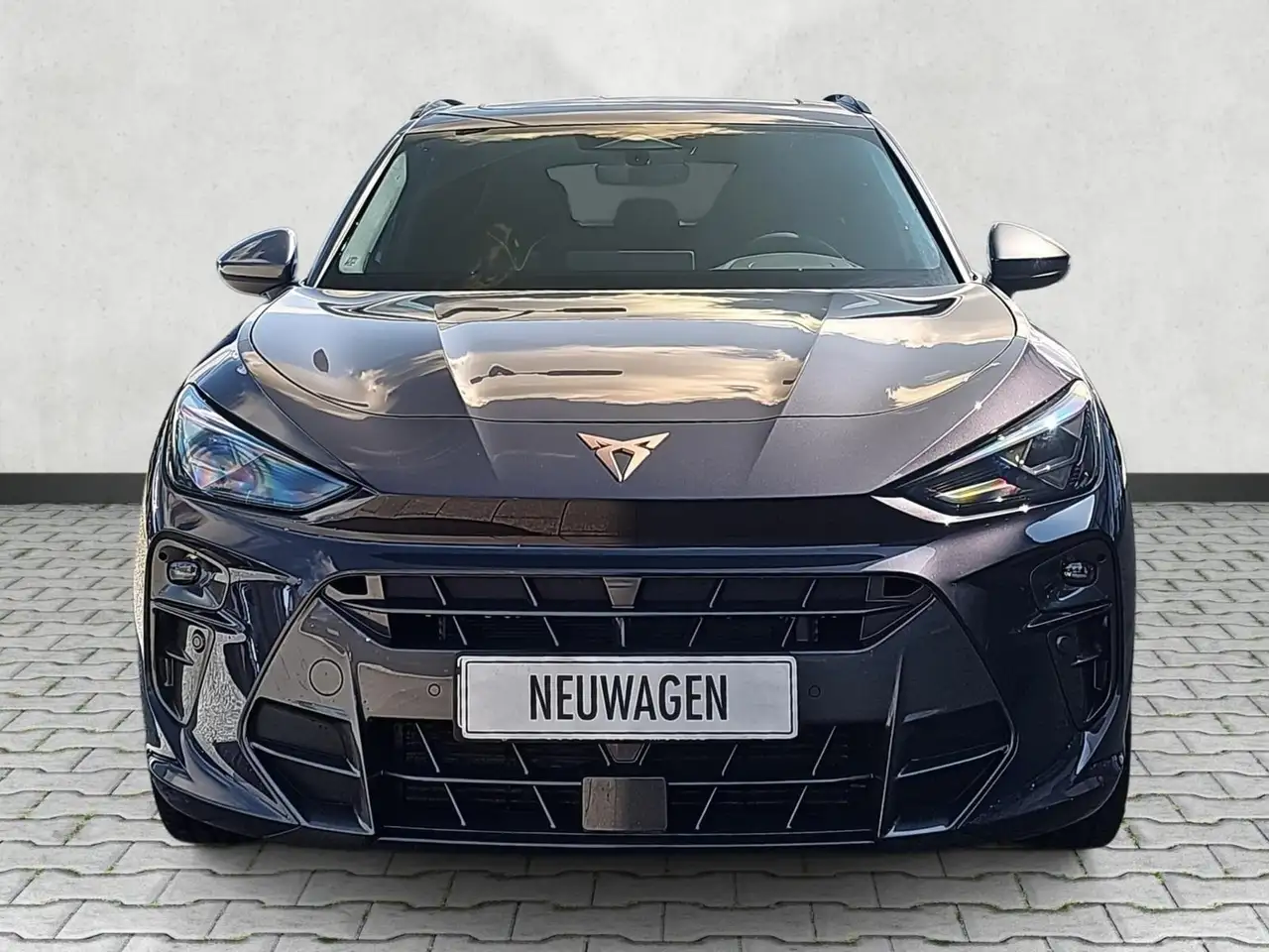 Cupra Terramar 3