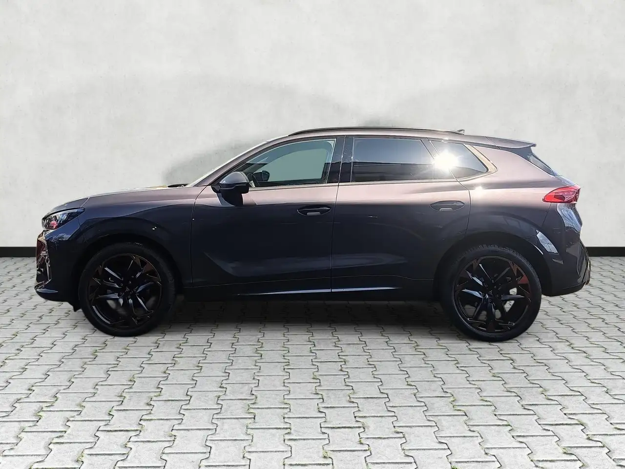 Cupra Terramar 5