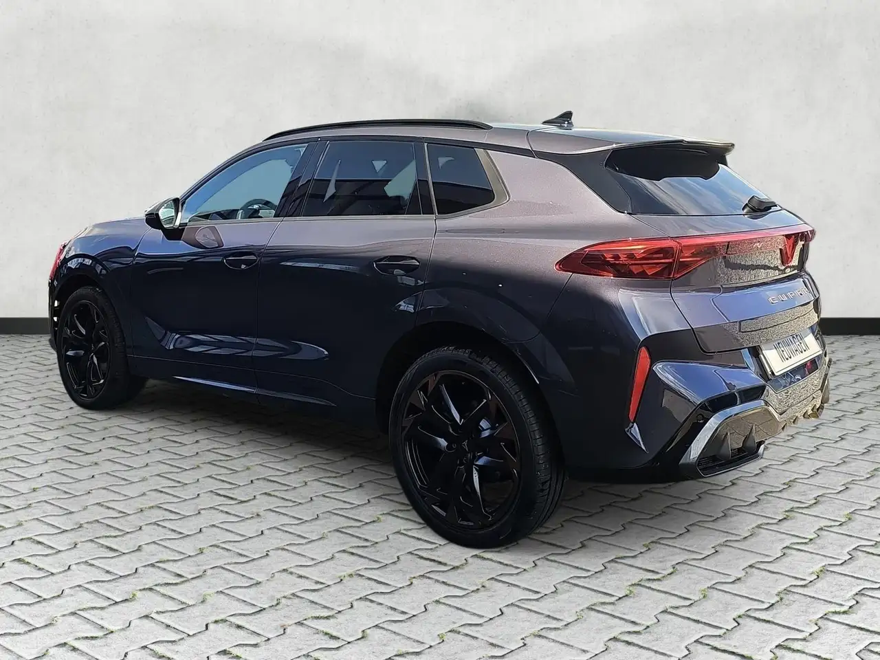 Cupra Terramar 6