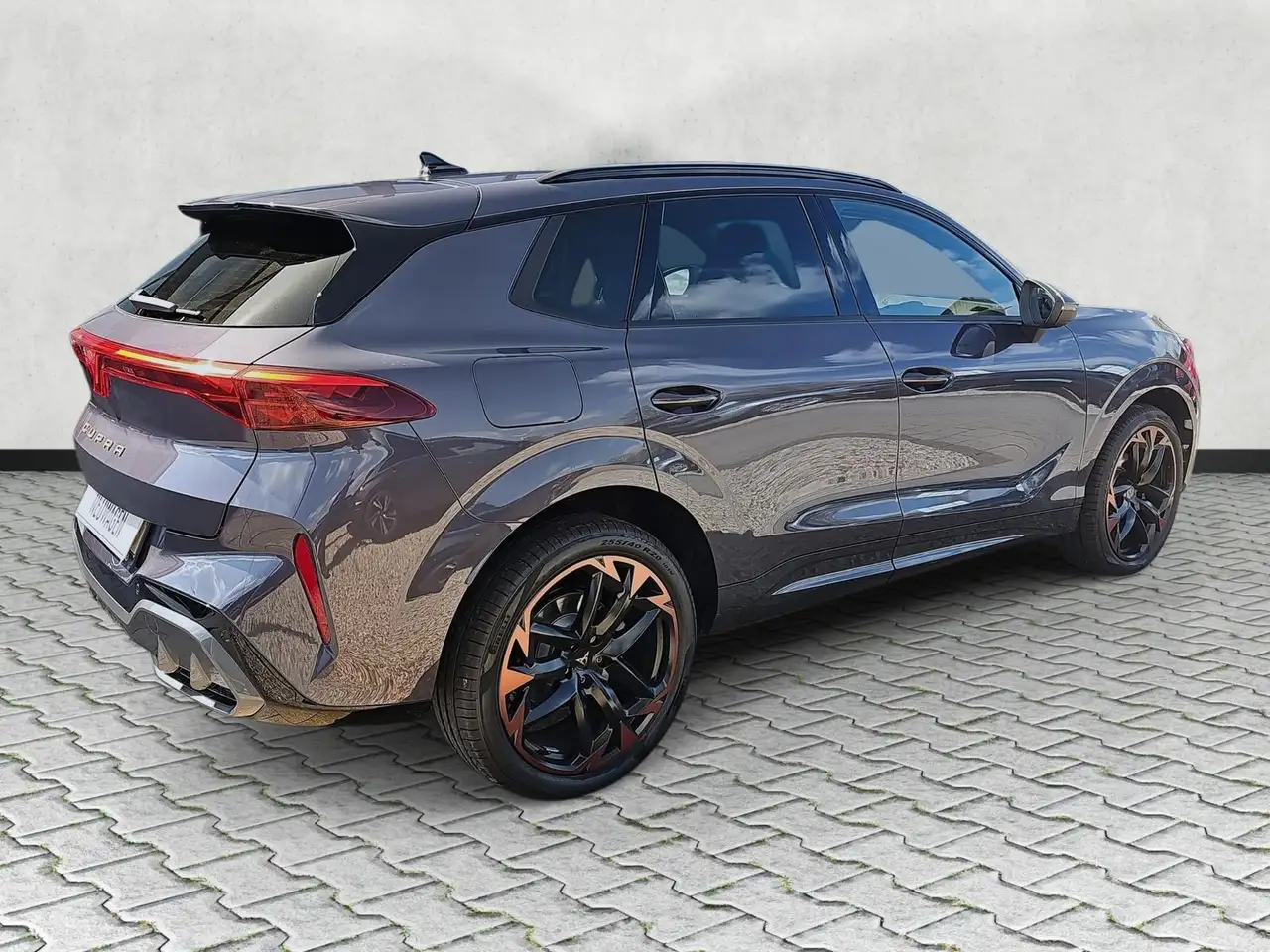 Cupra Terramar 8