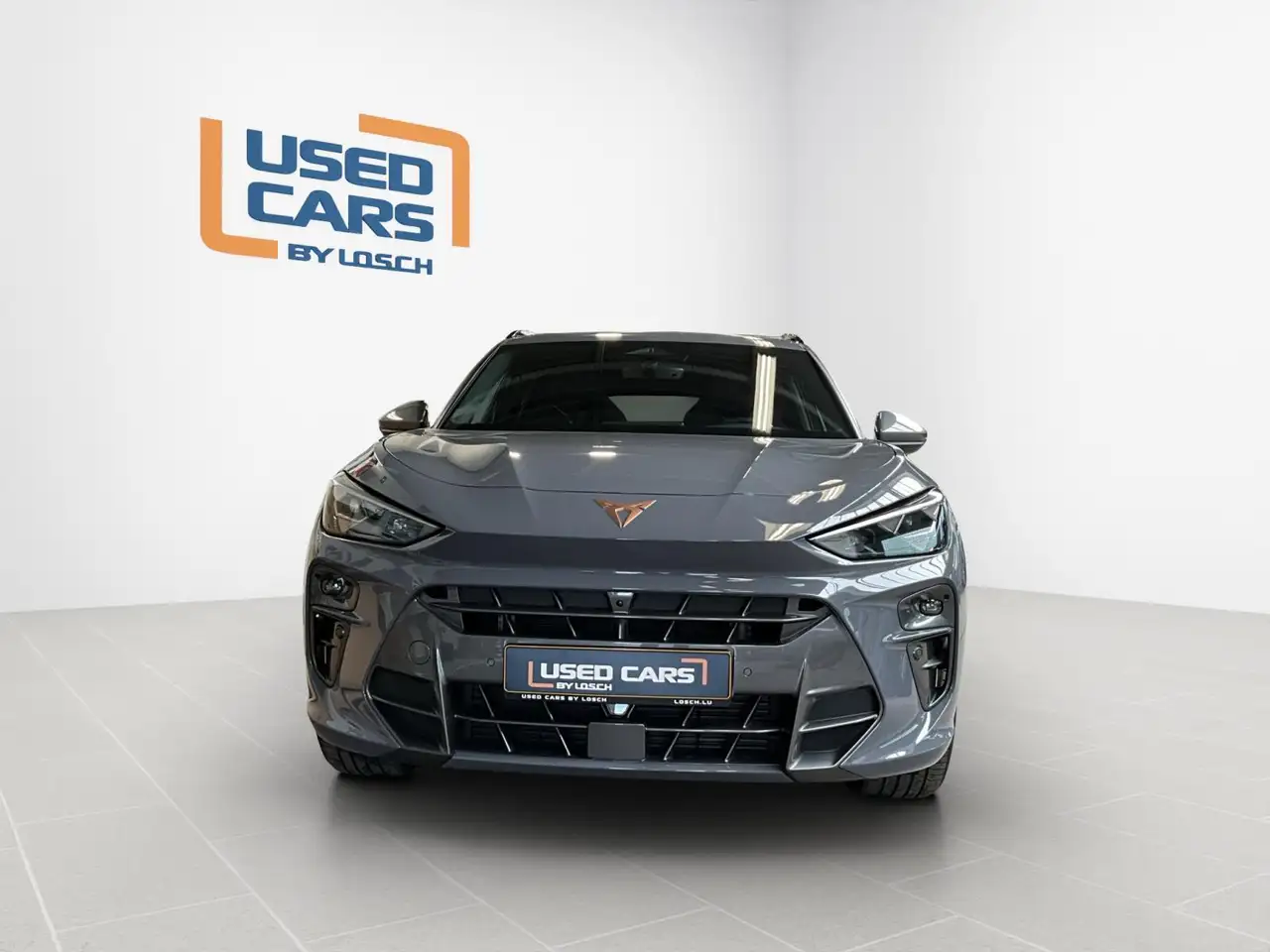 Cupra Terramar 3