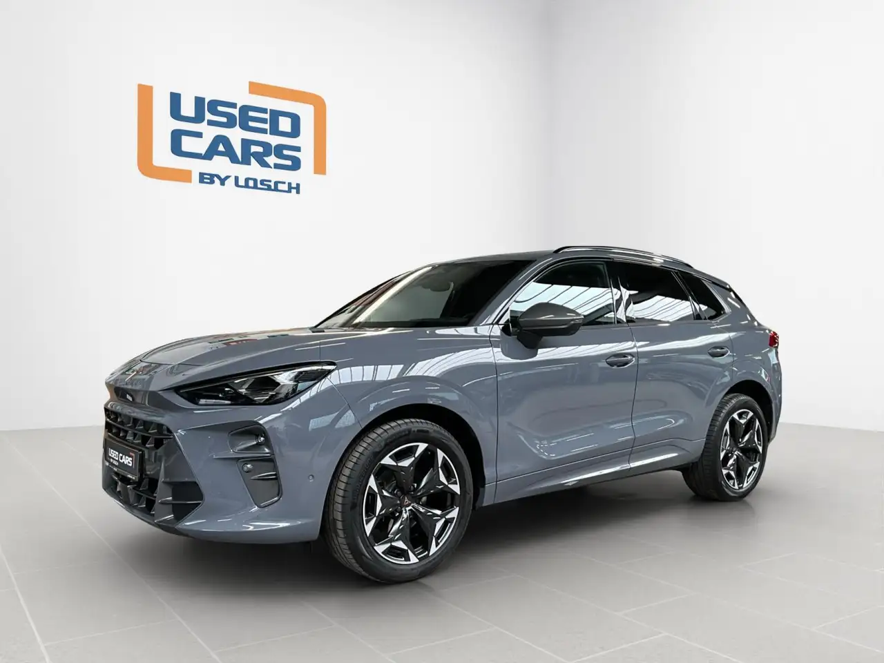 Cupra Terramar 4