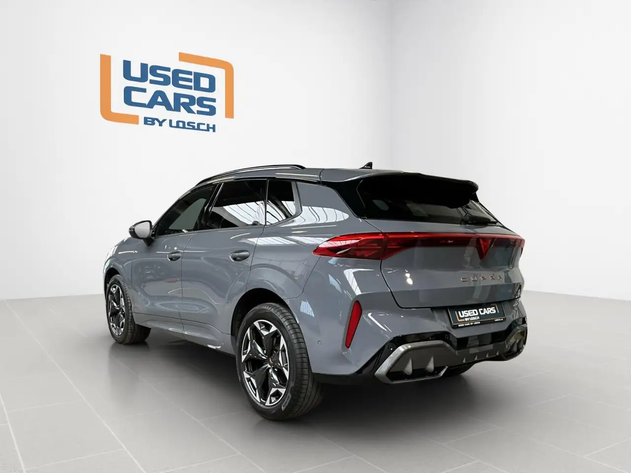 Cupra Terramar 6