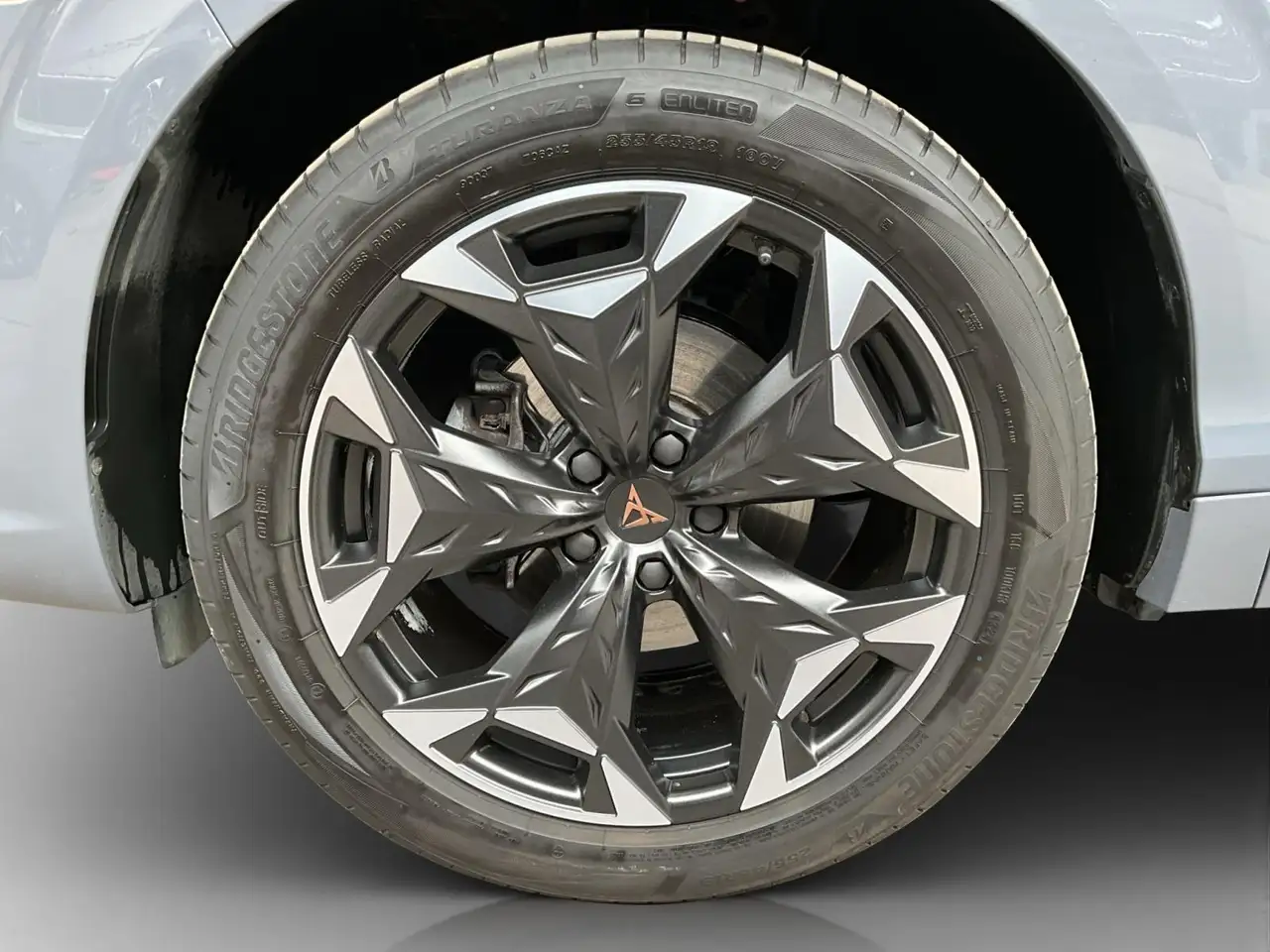 Cupra Terramar 8