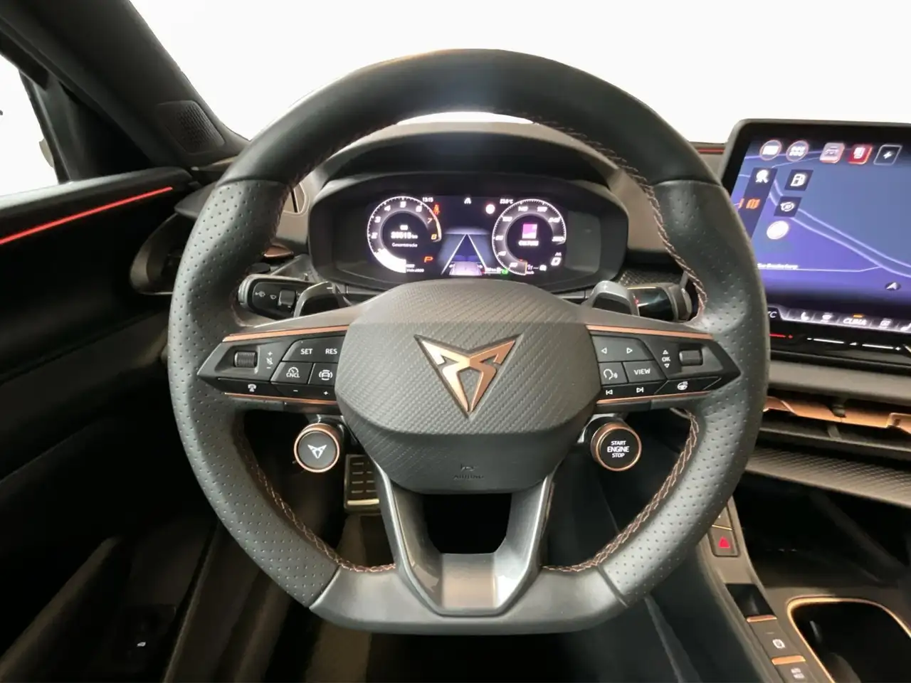 Cupra Terramar 10