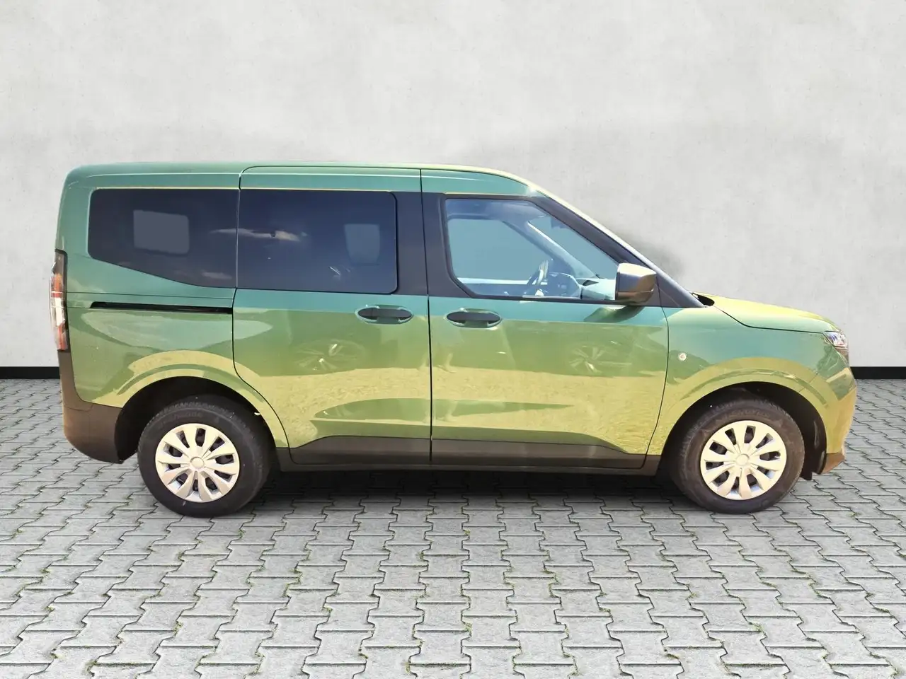 Ford Tourneo 9
