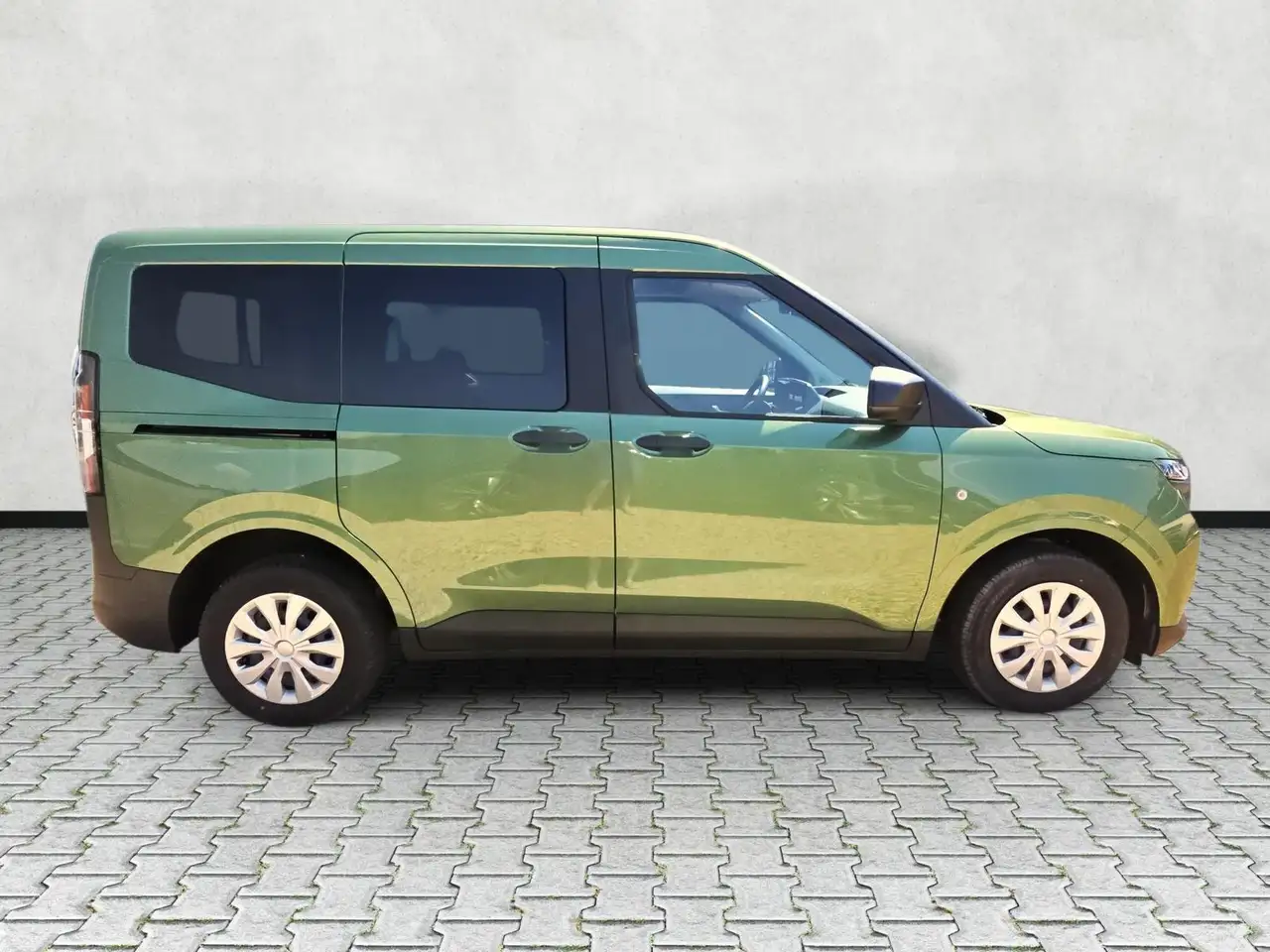 Ford Tourneo 9