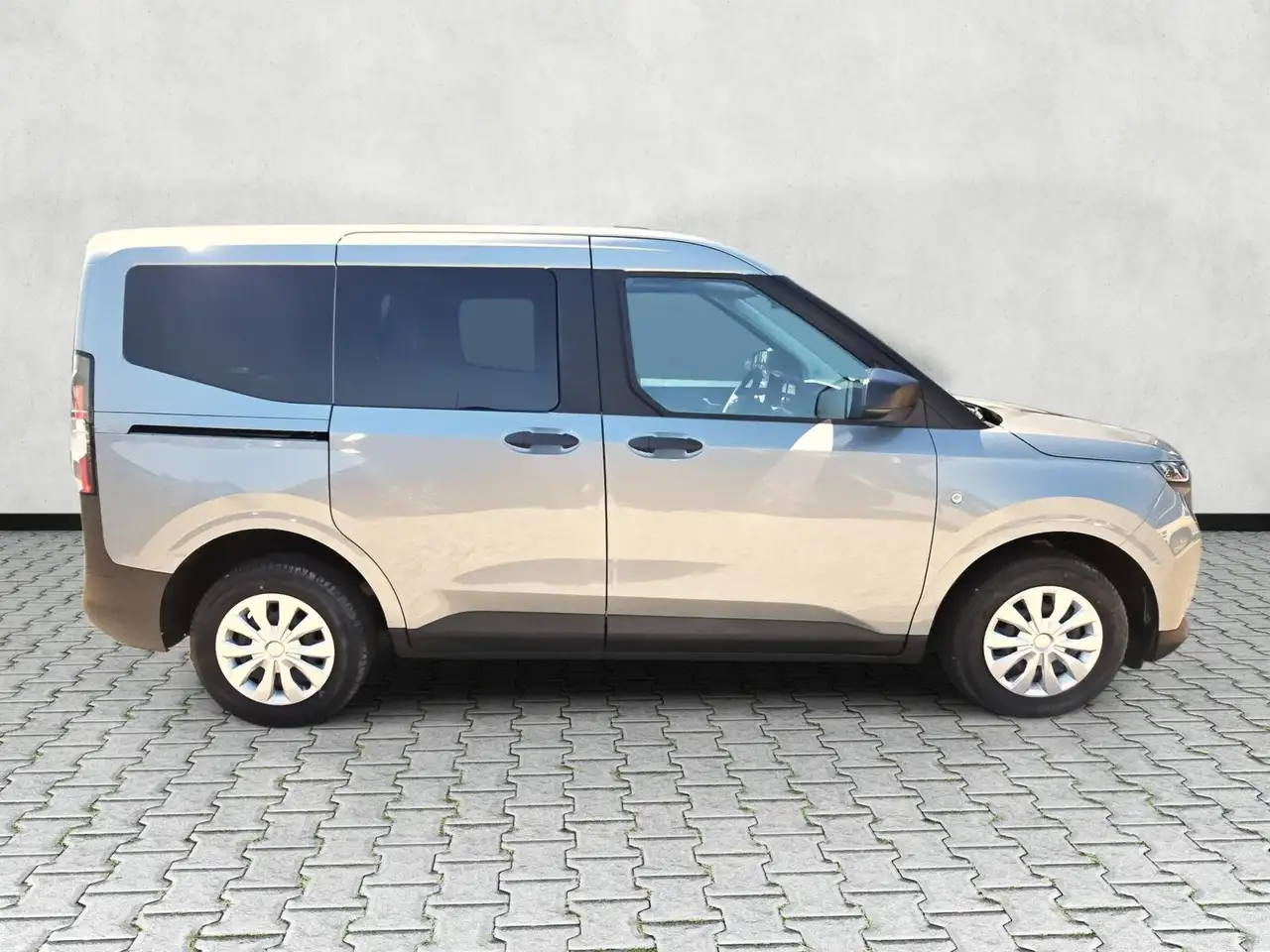 Ford Tourneo 9