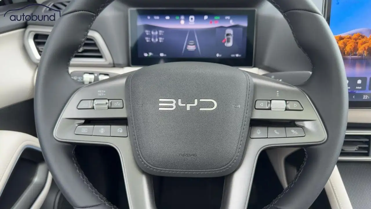 BYD Atto 2 10