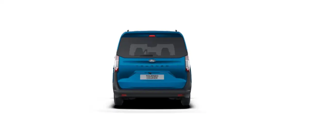 Ford Tourneo 9