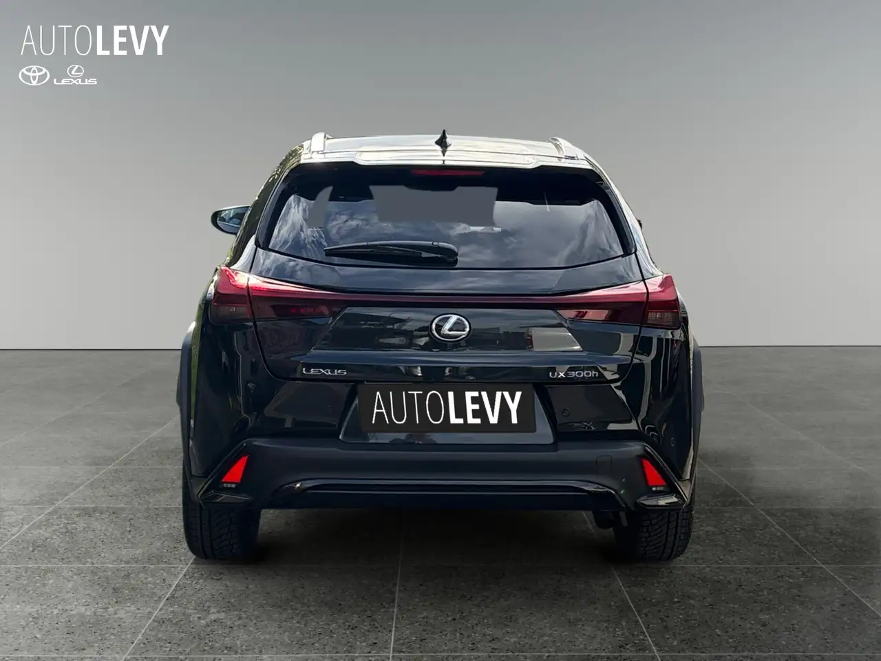 Lexus UX 5