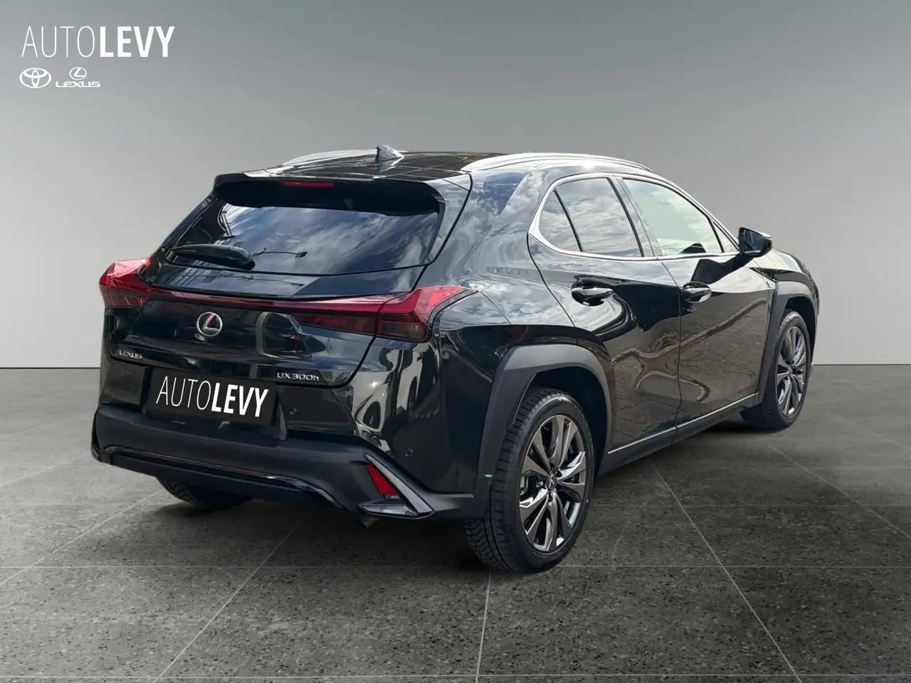 Lexus UX 6