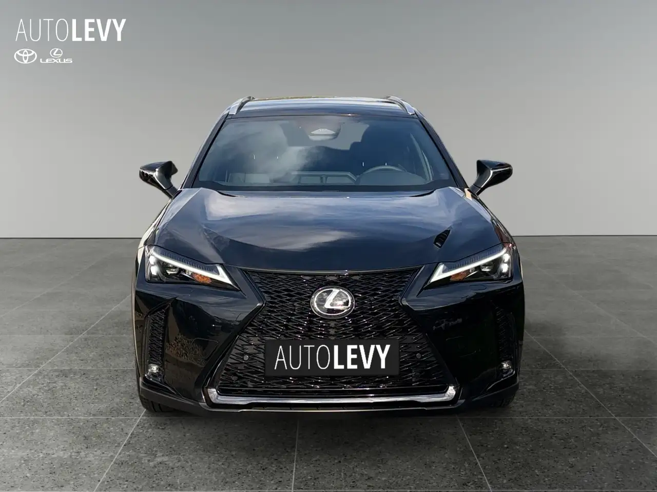 Lexus UX 9