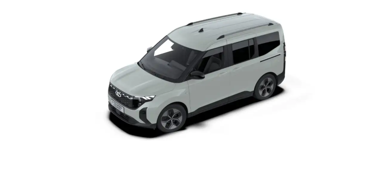 Ford Tourneo 3