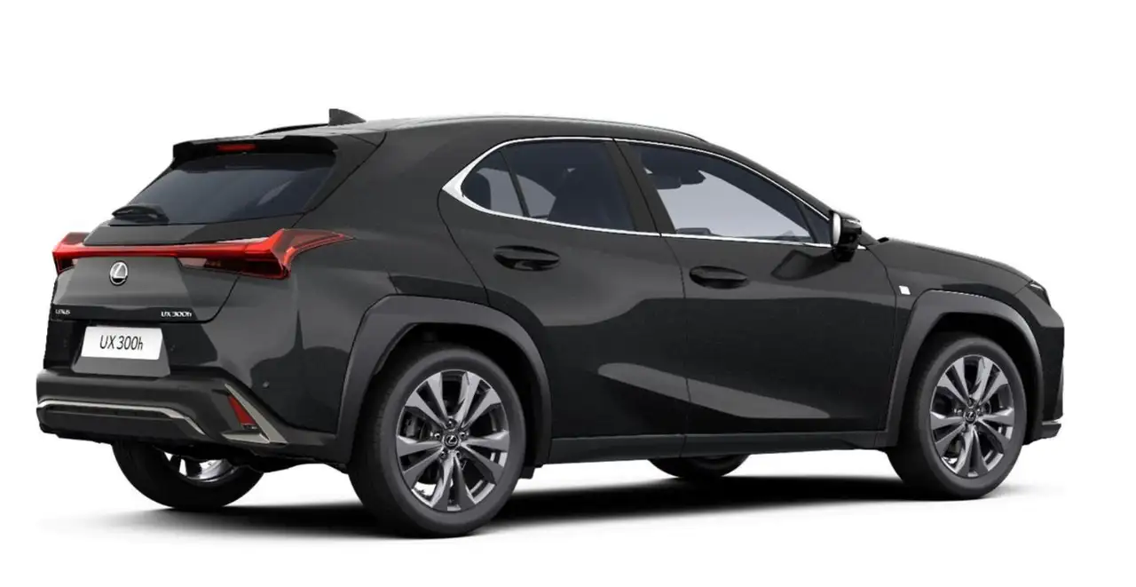 Lexus UX 6