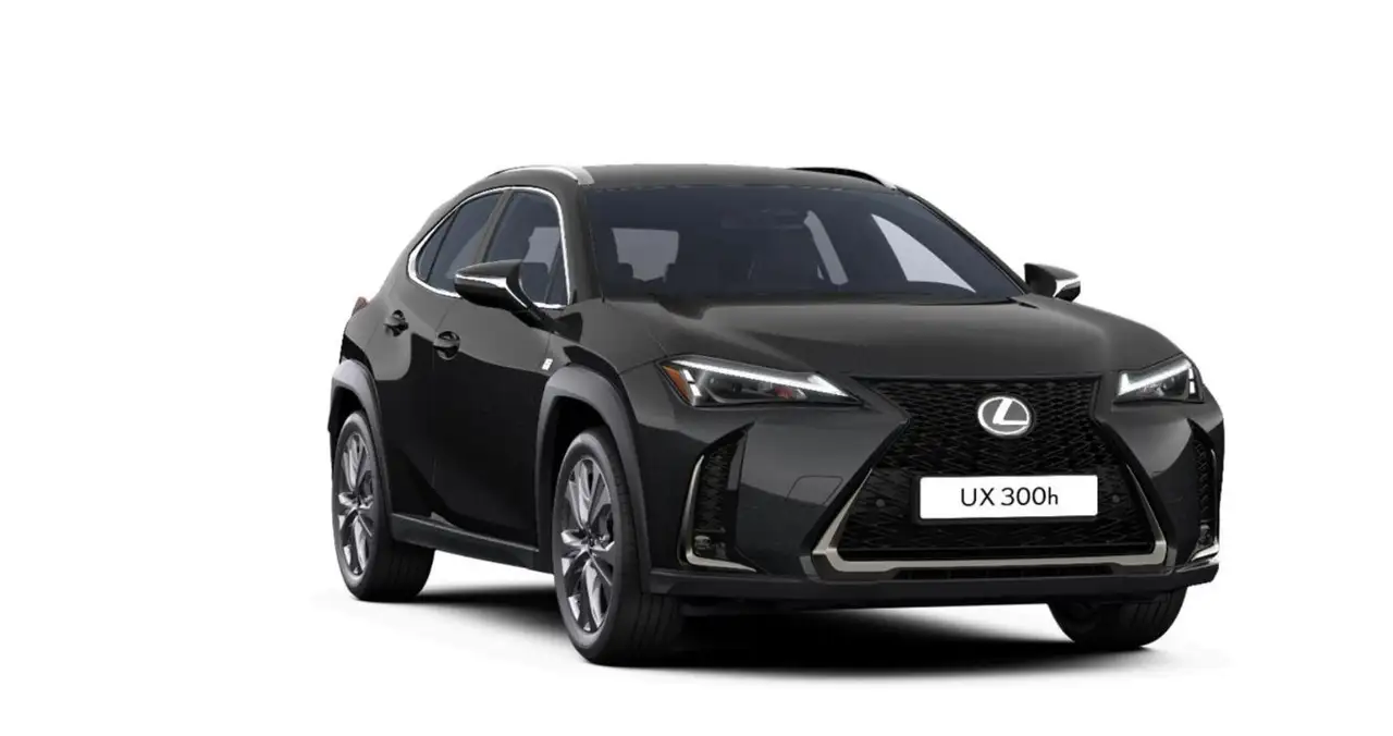 Lexus UX 8