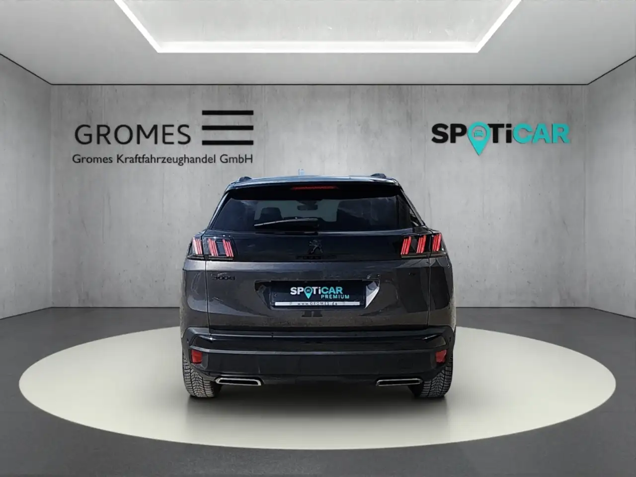 Peugeot 3008 4