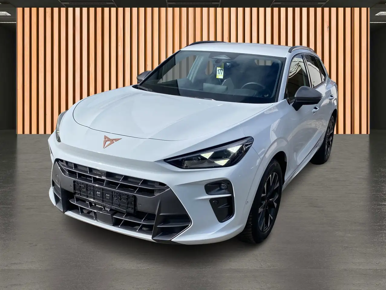 Cupra Terramar 2