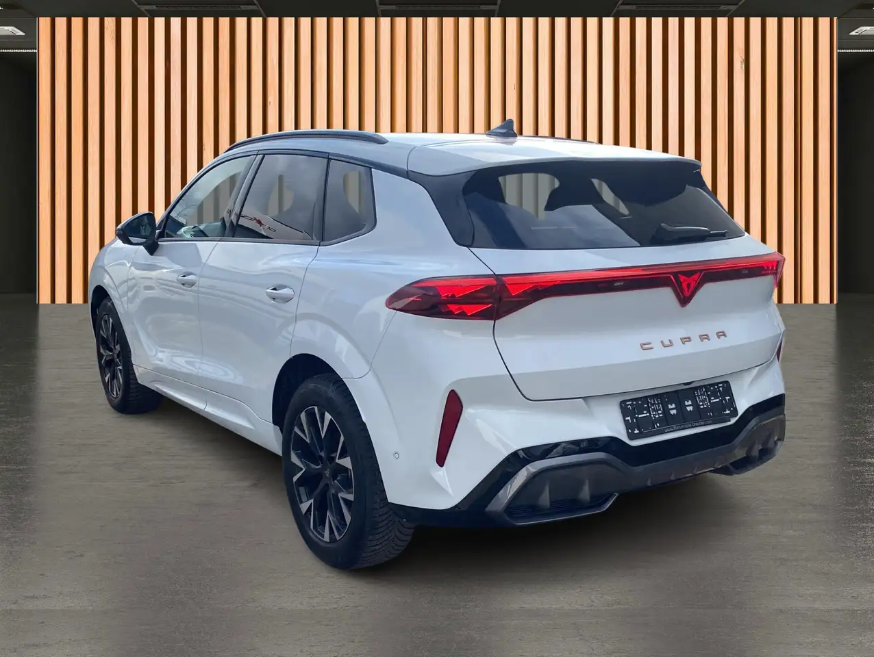 Cupra Terramar 4