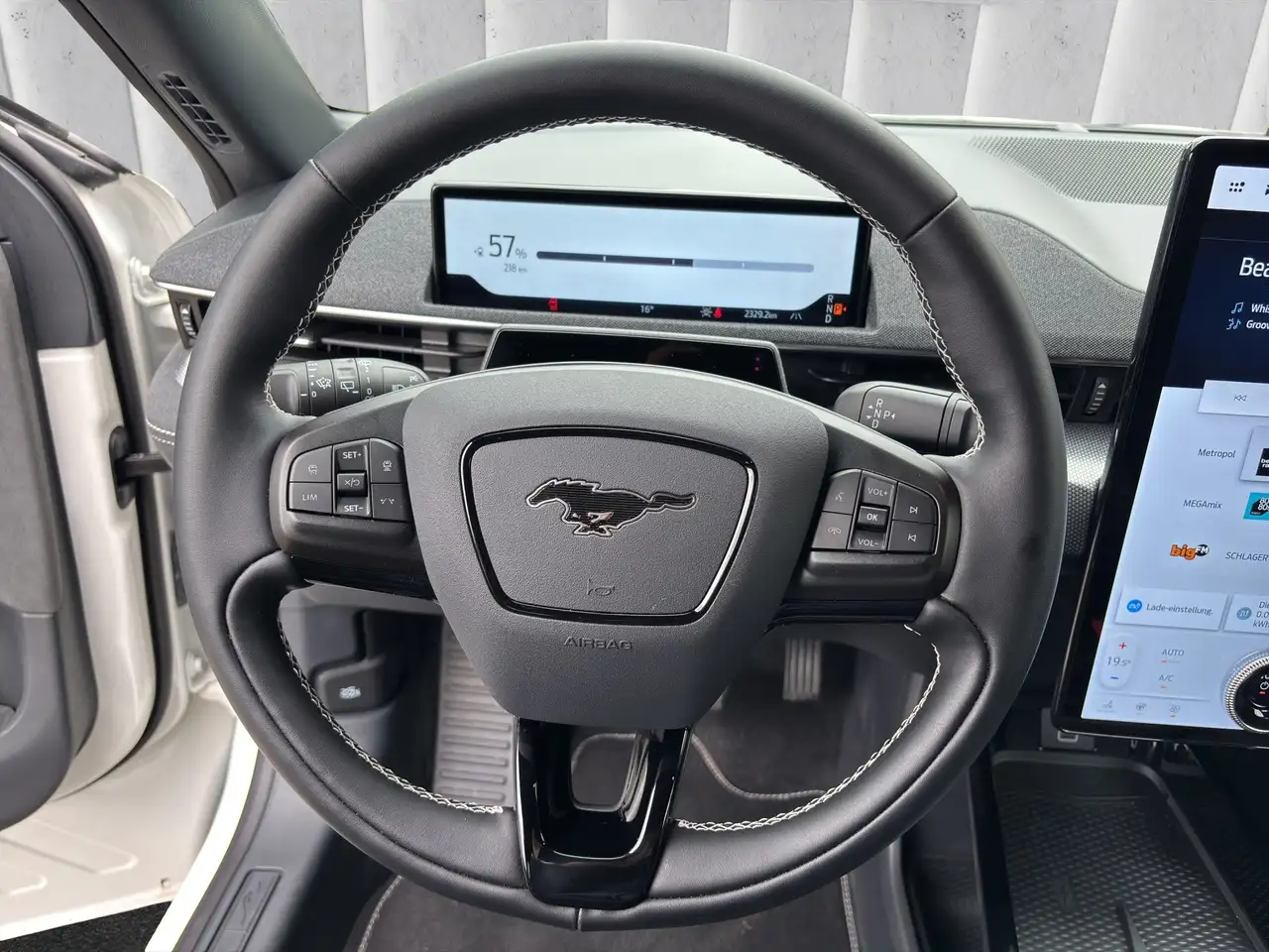 Ford Mustang 13
