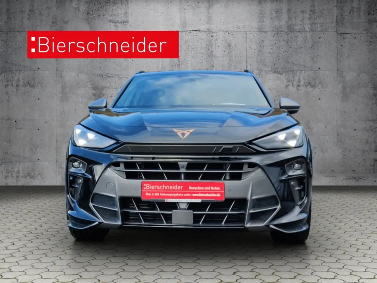 Cupra Terramar 4