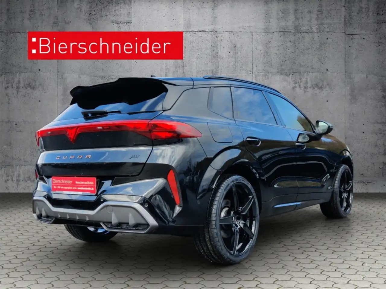 Cupra Terramar 9