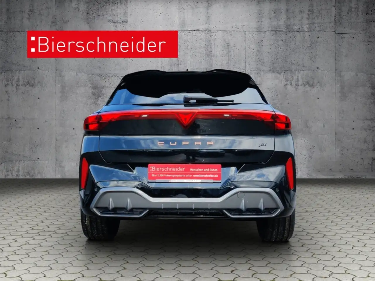 Cupra Terramar 10