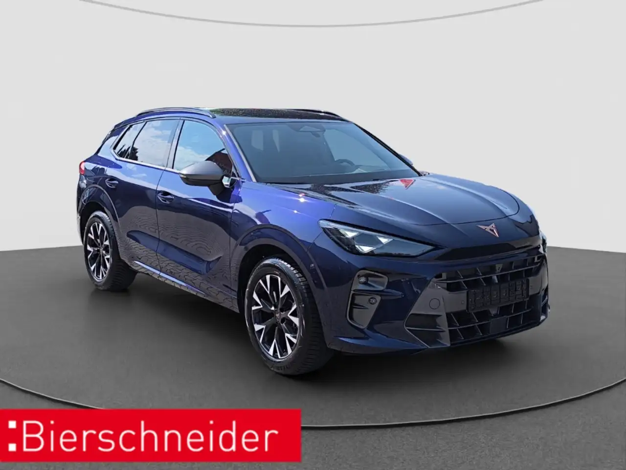 Cupra Terramar 3