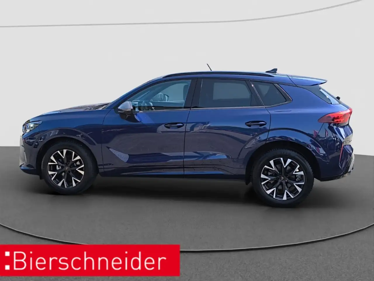 Cupra Terramar 4