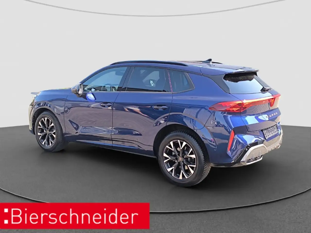 Cupra Terramar 6